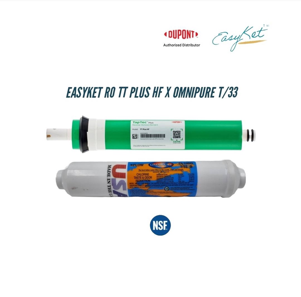 EasyKet RO TapTec Plus HF & OMNIPURE Post Carbon CL10RO T/33 | Shopee ...