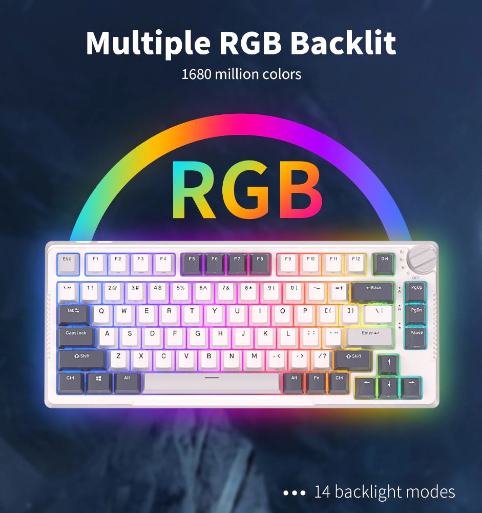 คีย์บอร์ด ไร้สาย Royal Kludge RK H81 tri-modes 75% Gasket mount RGB ...