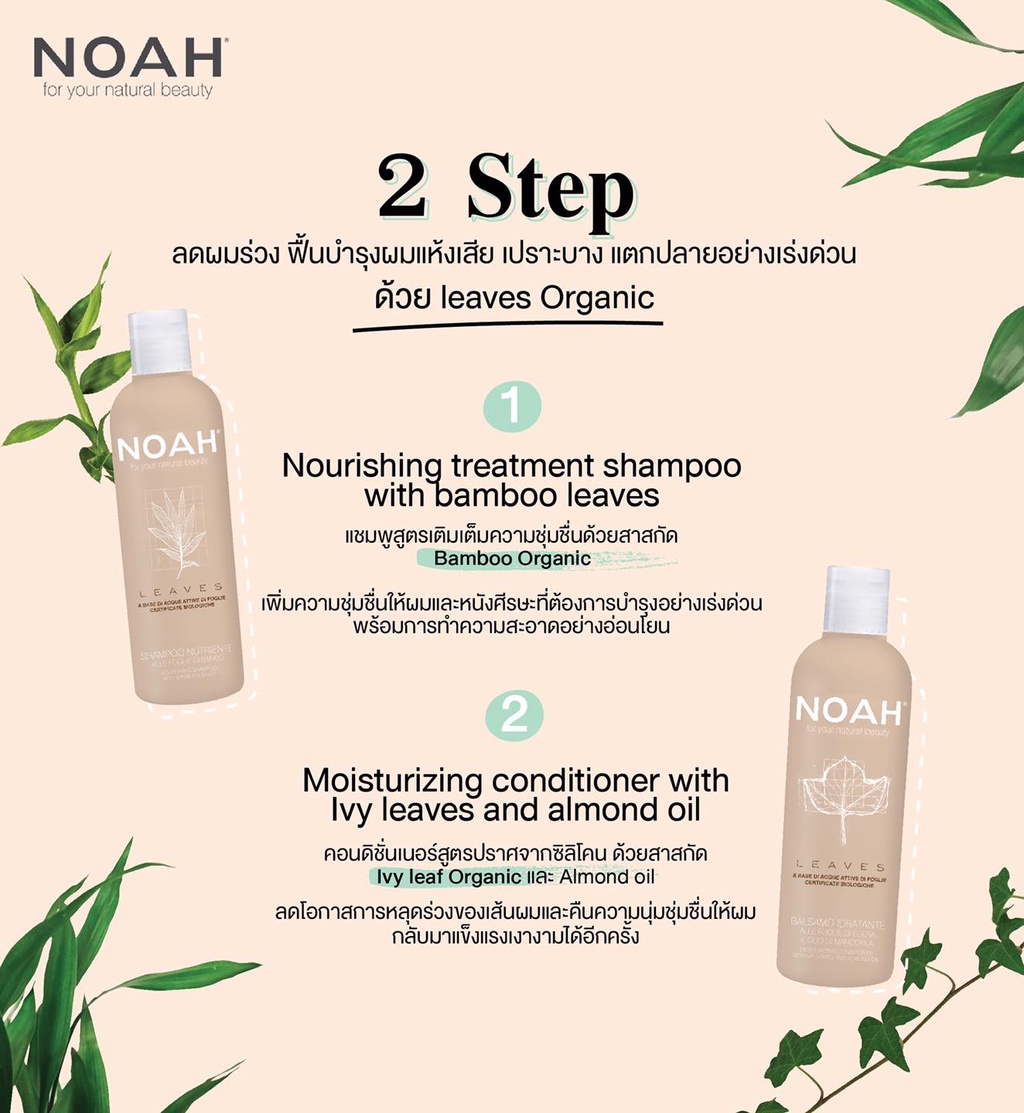 คำอธิบายเพิ่มเติมเกี่ยวกับ NOAH - Shampoo with bamboo leaves +Moisturizing conditioner with ivy leaves and almond oil 250