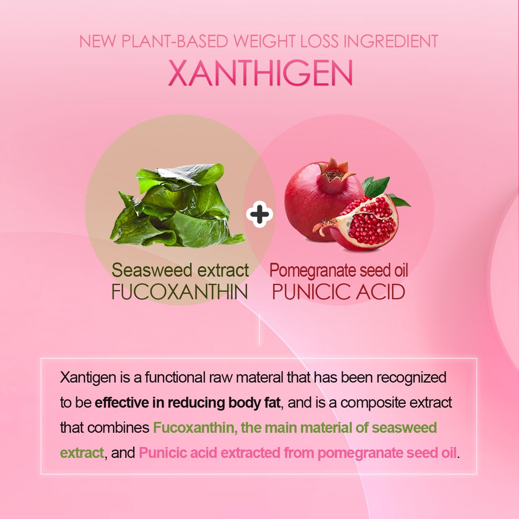 NATURALPLUS Korea Everfit Xanthigen Diet บรรจุภัณฑ์รายวันแบบพกพา 28 ...