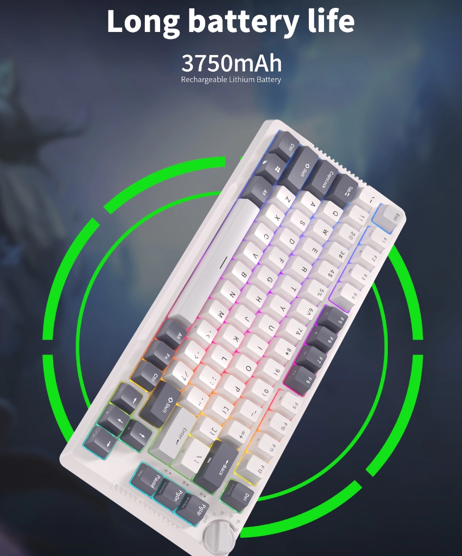 คีย์บอร์ด ไร้สาย Royal Kludge RK H81 tri-modes 75% Gasket mount RGB ...