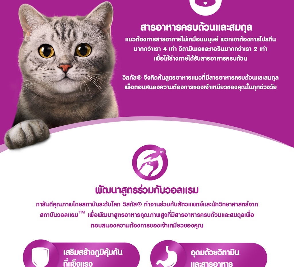 มุมมองเพิ่มเติมของสินค้า WHISKAS วิสกัส อาหารเปียกแมว แบบเพาช์ รวม 2 รสชาติ (แพ็ก 24), 80 ก. อาหารแมวเปียก สูตรแมวโต 1 ปีขึ้นไป