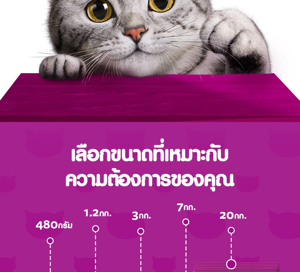 ข้อมูลเพิ่มเติมของ อาหารแมวโต WHISKAS (2 แพ็ก) - 7 กก. - โภชนาการครบถ้วนและสมดุลสำหรับแมวอายุ 1 ปีขึ้นไป
