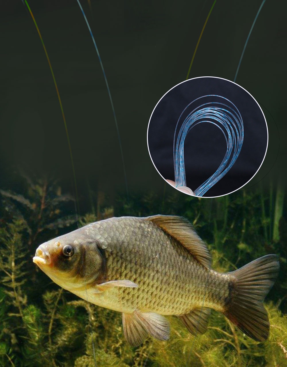 500m Fluorocarbon เคลือบคาร ์ บอนไฟเบอร ์ Monofilament Leader Line ปลา ...