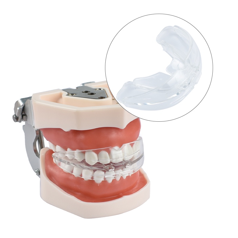 ddydental-อุปกรณ์ทันตกรรม-อุปกรณ์ทันตกรรม-สําหรับผู้ใหญ่