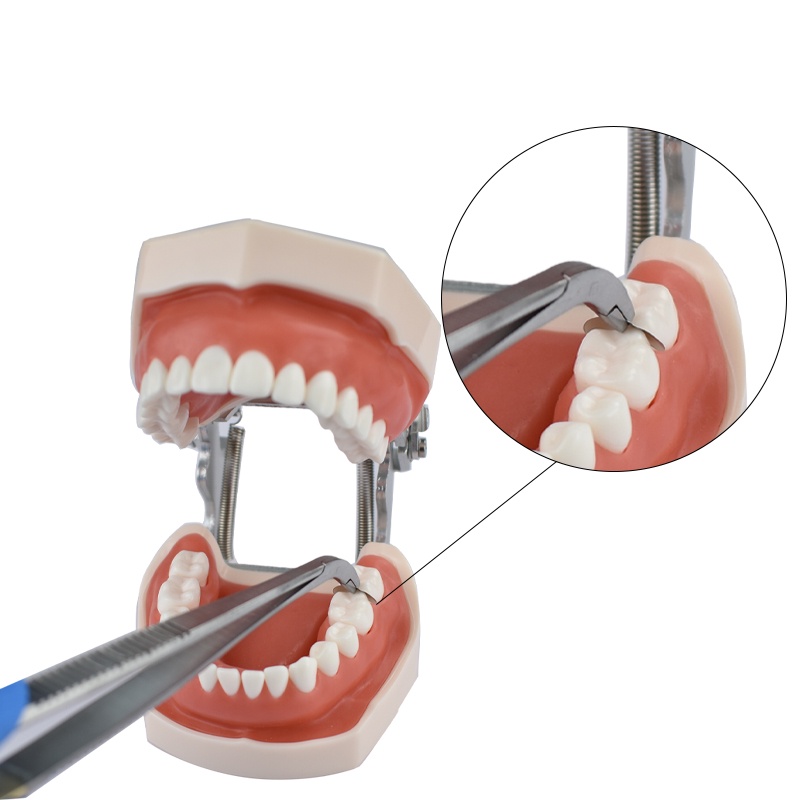 ddydental-ชุดทันตกรรม-แบบใช้แล้วทิ้ง-600-ชิ้น