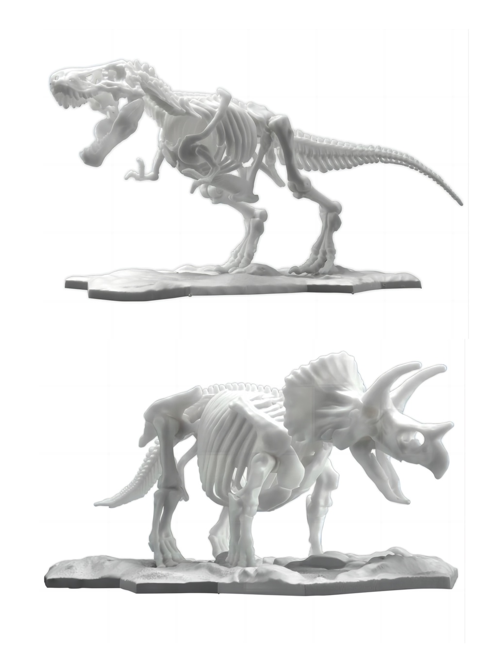 Limex Bandai Plamo Dinosaur Skeleton Triceratops – Modellino Da Assemblaggio Ecologico 16 Cm - 5