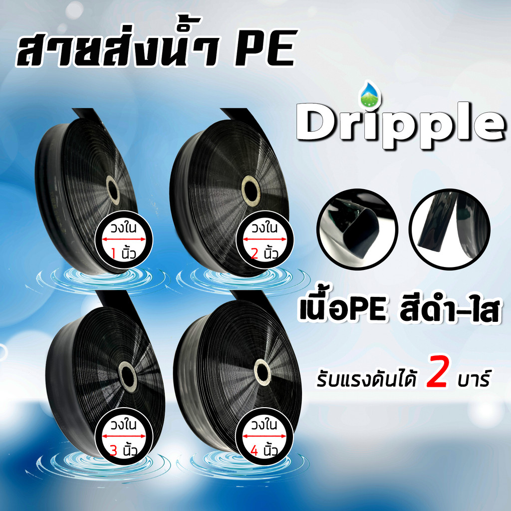 Dripple สายส่งน้ำ PE (สีดำ-ใส) ตัดแบ่งขายยาว 100 เมตร มีให้เลือกขนาด ...