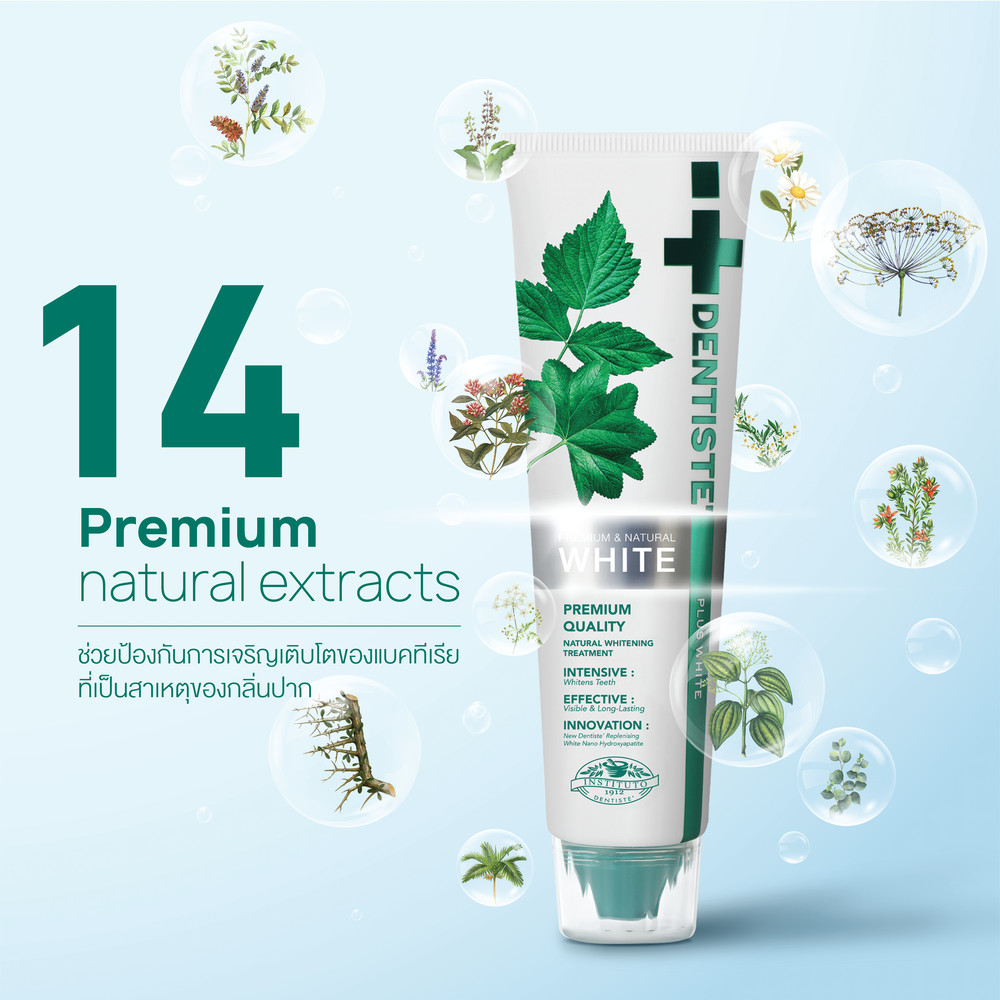 [แพ็ค 2] Dentiste' Premium & Natural White Toothpaste ยาสีฟันสูตรฟันขาว ...