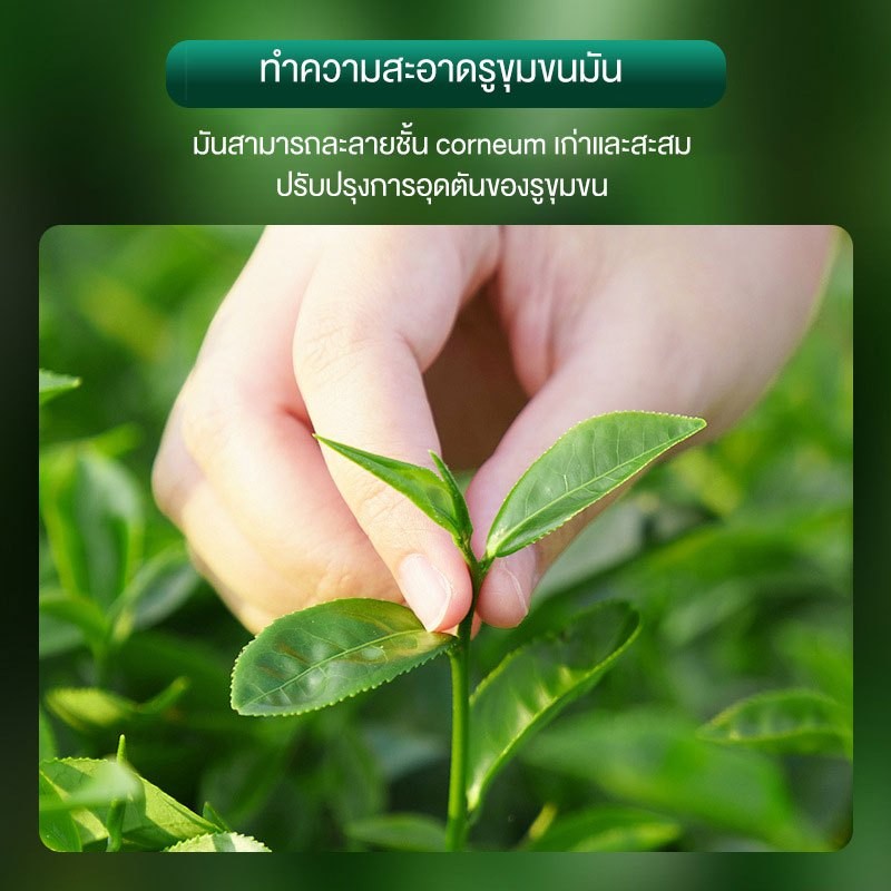 YTL SKAT เจลล้างหน้าทีทรี pH Balance 5.5 สูตรอ่อนโยน สำหรับคนเป็นสิว ...