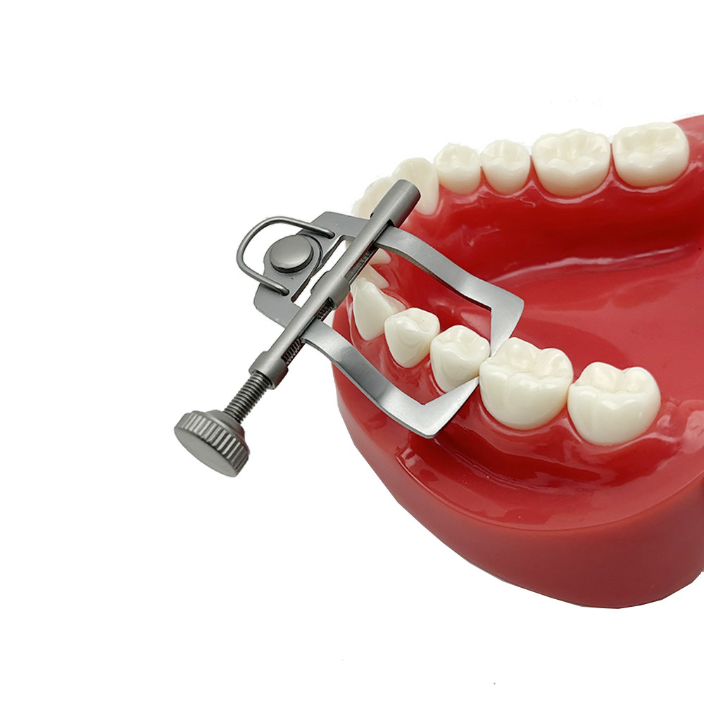 ฟันทันตกรรมแยกฟัน Divider Wedges Retainer Anterior เครื่องมือฟัน Matrix ...