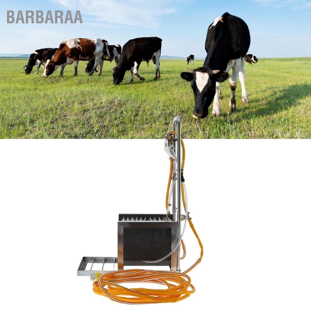 Barbaraa เครื่องขัดรองเท้าอัตโนมัติ รองเท้าบูทสแตนเลส สำหรับฟาร์มปศุ ...