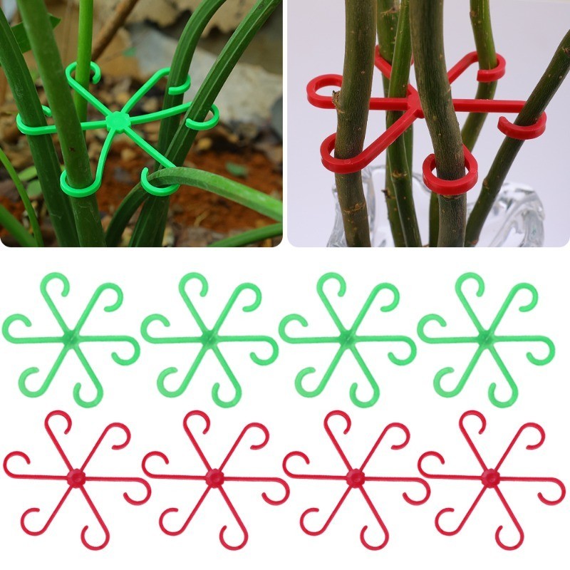 4/8 ชิ้นดอกไม้ Stem Gathering Racks - ผลไม้ปลูกผักสนับสนุนคลิปพลาสติก ...