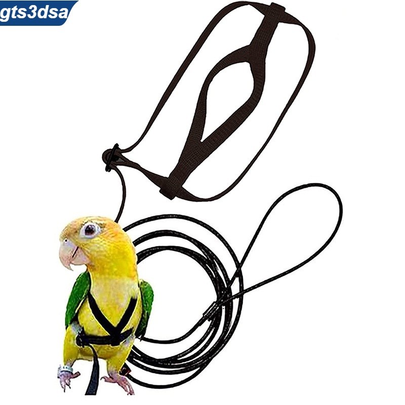 Birds Flying Rope Bird Training Ring Parrot Pigeon Flying Rope สายจูง ...