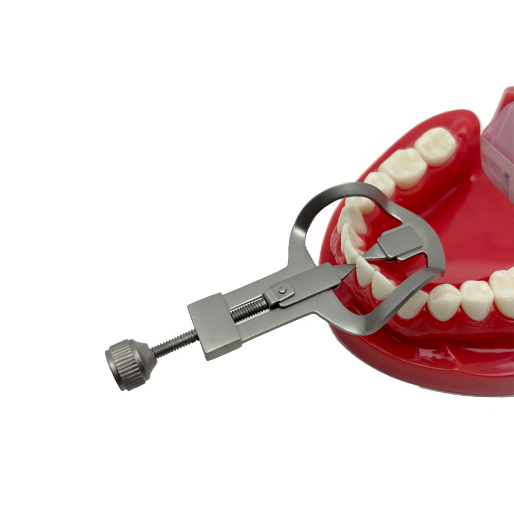 ฟันทันตกรรมแยกฟัน Divider Wedges Retainer Anterior เครื่องมือฟัน Matrix ...