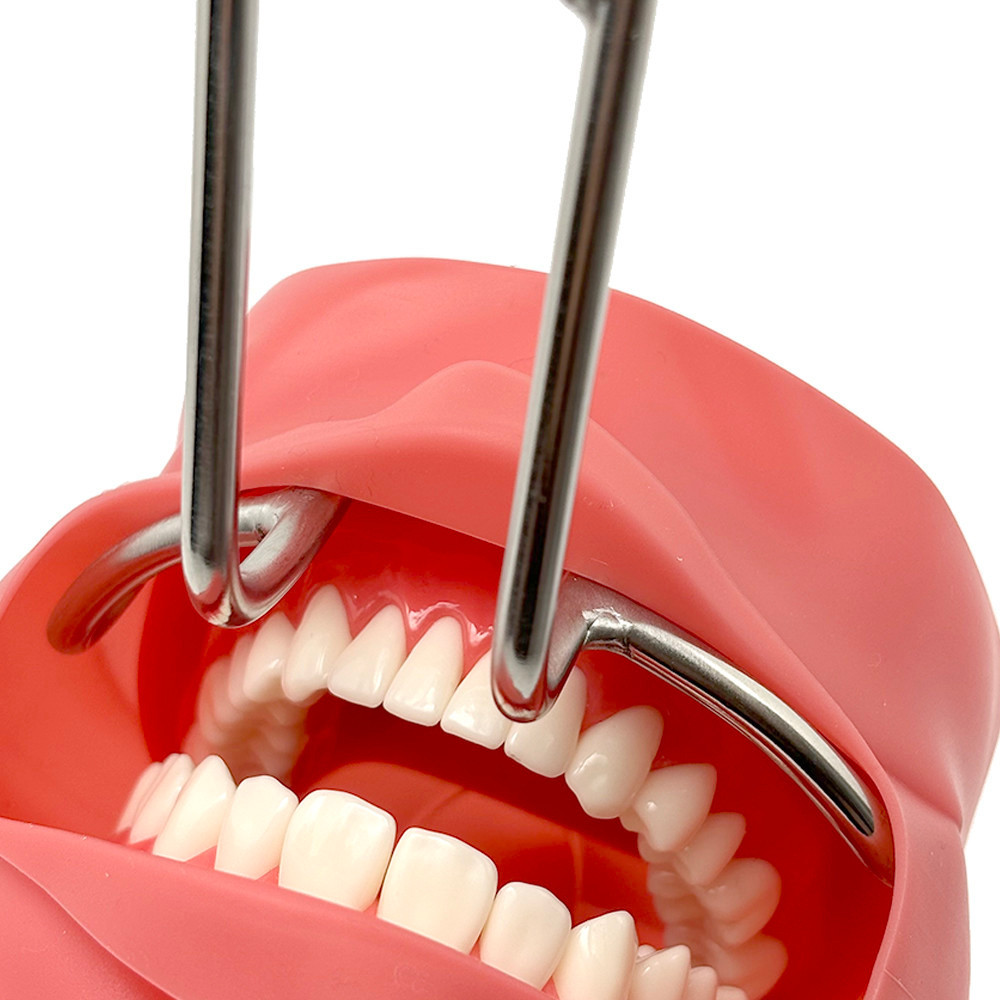 ทันตกรรม Double-headed ทันตกรรมปากขยาย Lip Retractor Intraoral Cheek ...