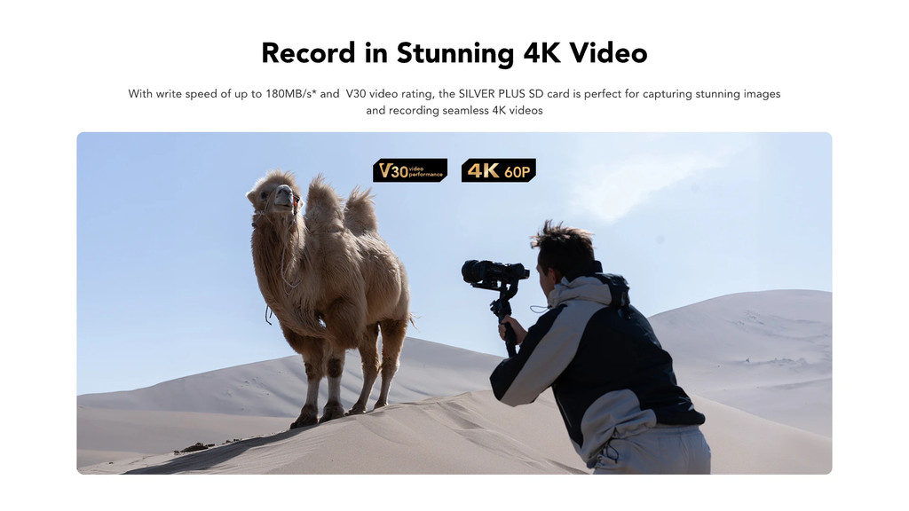 LEXAR Professional SILVER PLUS 128GB V30 SDXC (เอสดีการ์ด) Full-HD 3D ...