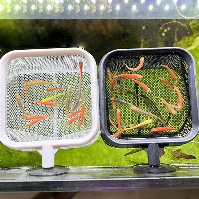 MFT-1 ชิ้น Aquarium Retractable สแตนเลสรอบและ Square Net Pocket Fishnet ...