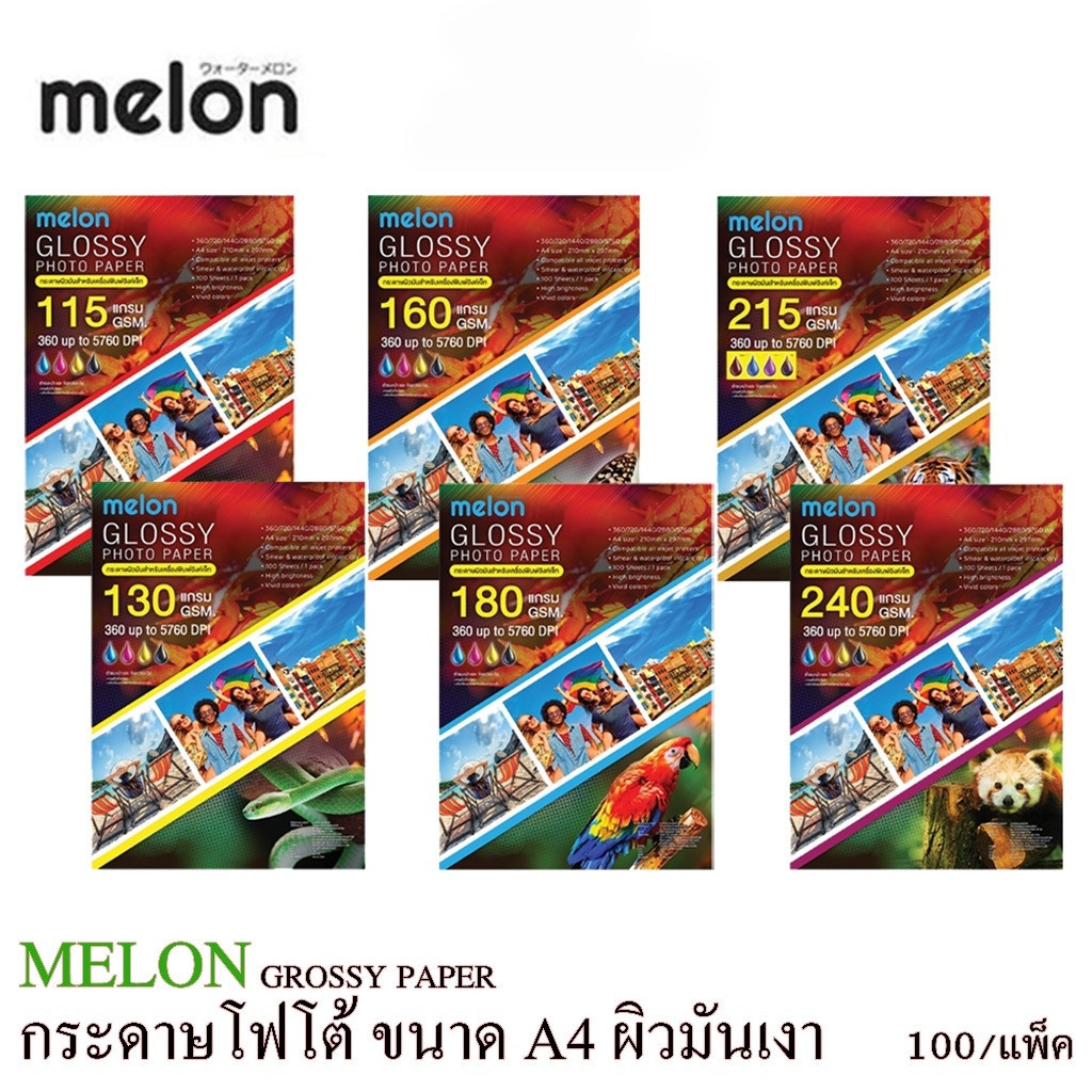 MELON GLOSSY PHOTO-Sticker Glossy 155/130/160/180/215/240 Grams (100 ...