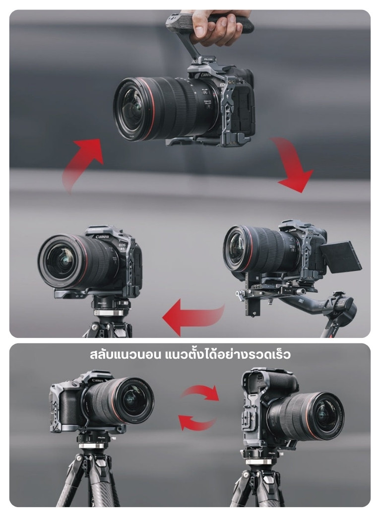 Falcam F22 F38 F50 Camera Cage เคสกล้อง Rig ระบบปลดเร็ว สำหรับ Canon ...