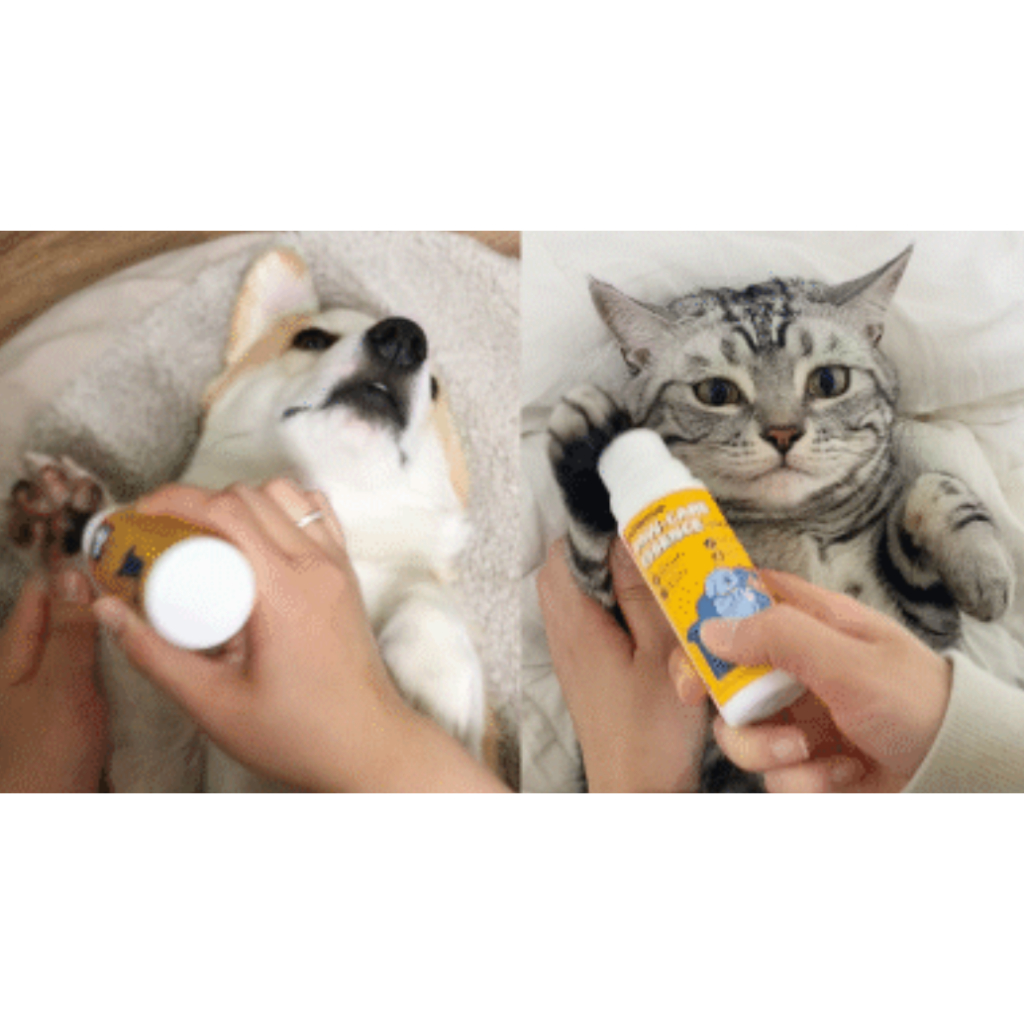 pethroom-paw-care-essence-เอสเซนส์บํารุงผิวหน้า-85-มล