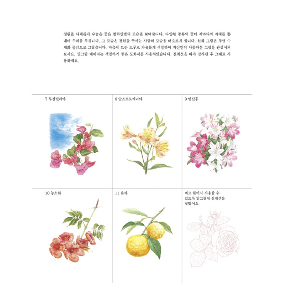 korean-coloring-book-garden-flowers-coloring-book