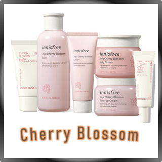 อินนิสฟรี เชจู เชอร์รี่ บลอสซัม เซ็ต / innisfree Jeju Cherry Blossom Set(Lotion, Skin, Jelly Cream, Tone Up Cream)