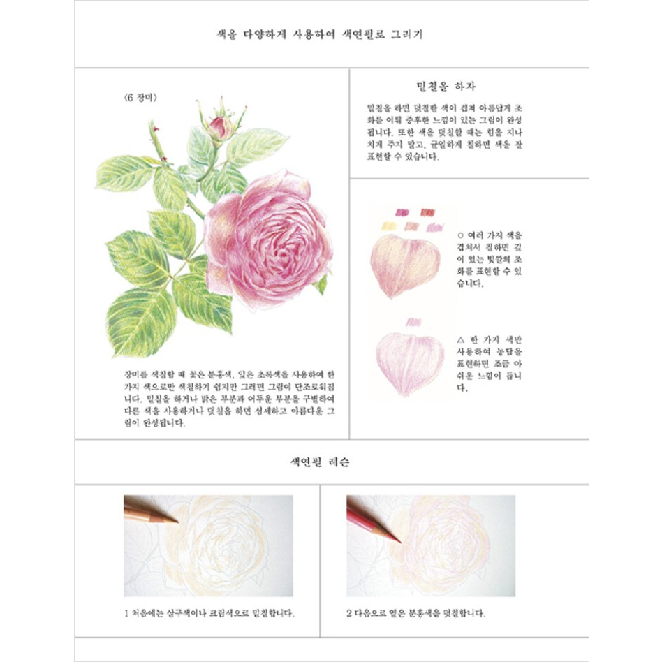 korean-coloring-book-garden-flowers-coloring-book