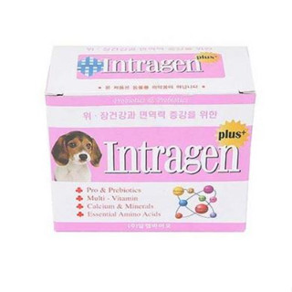 ★Intragen plus+★ อาหารเสริมสุนัข ผงภูมิคุ้มกัน สําหรับสัตว์เลี้ยง 30p/100p