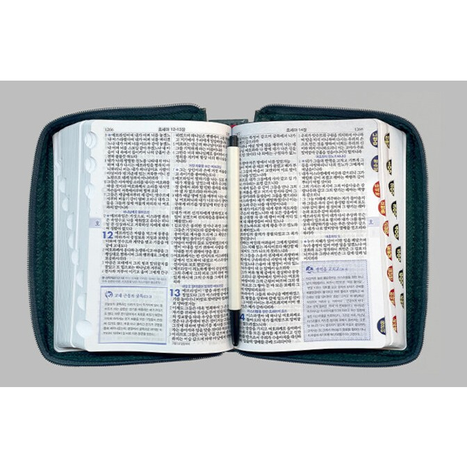 korean-bible-focus-bible-revised-edition-amp-new-hymns-teukmini-combination-index-zipper-pu-ople