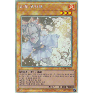 [RC04-KR009] Holographic Rare "Ash Blossom &amp; Joyous Spring" Korean KONAMI