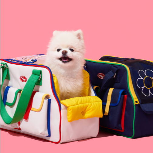 PETHROOM X Wiggle Wiggle] กระเป๋าใส่สัตว์เลี้ยง | กระเป๋าเดินทางมี
