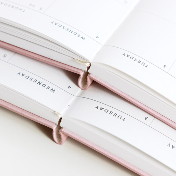 ICONIC Journal J 2025 Diary Planner(B6) ไดอารี่แพลนเนอร์ เกาหลี ...