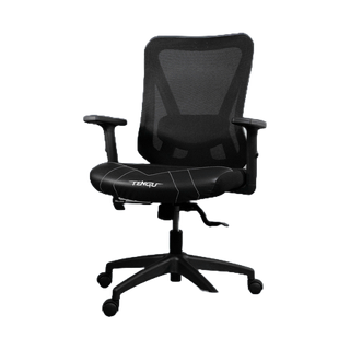 Tengu เก้าอี้เกมมิ่งรุ่น AMANO เก้าอี้สุขภาพตามหลัก Ergonomics Gaming Chair รับน้ำหนัก180กก