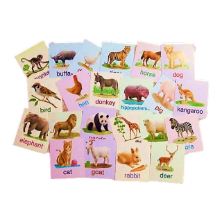 โปรโมชั่น : Big card 2 หมวด สัตว์ป่าของใช้ใกล้ตัว แฟลชการ์ด Flash Card Animal การ์ดคำศัพท์พื้นฐาน บัตรคำ เสริมพัฒนาการเด็ก