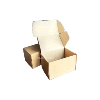 กล่องหูช้าง 0+4 กล่องลูกฟูก ฝาเสียบ 25 กล่อง/แพ็ค กล่องพัสดุ กล่องพัสดุไปรษณีย์ มี2สี glombox