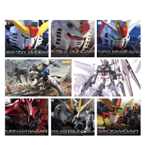 5.5 & 5.15 Pre-Hype 5.2 & 5.14 Bandai Hot Sale Xmodeltoys