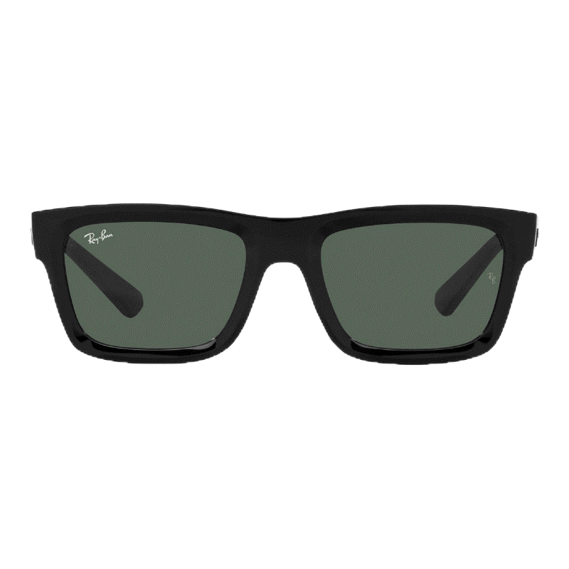 RAY-BAN WARREN - RB4396F 667771 - Sunglasses