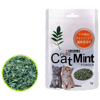 กัญชาแมว แคทนิป ของเล่นแมว Catnip ของใช้แมว อุปกรณ์แมว ผงแคทนิปแมว ราคาถูก ขนาด 5 กรัม