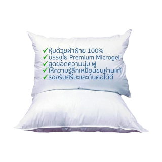 หมอนโรงแรม5ดาวกันไรฝุ่นรุ่นรร. อินเตอร์คอน ไอบิส โนโวเทล (โรงงานผลิตเดียวกัน)