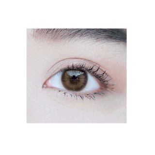 Sugar kiss (Brown) ค่าสายตา 0.00-10.00 คอนแทคเลนส์