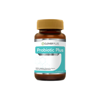 Clover Plus Probiotic Plus โคลเวอร์พลัส โพรไบติก พรีไบโอติก 30 capsule