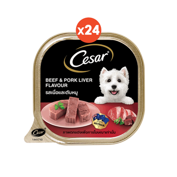 [ขายดี] CESAR ซีซาร์ อาหารสุนัขพรีเมียมเพื่อประสบการณ์การทานอาหารแสนอร่อย 100 กรัม (แพ็ก 24)