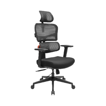 Ergotrend เก้าอี้เพื่อสุขภาพเออร์โกเทรน รุ่น HESSE สีดำ