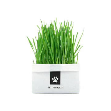 โปรโมชั่น : ชุดปลูกหญ้าแมว แบบถุงปลูกง่ายแค่เติมน้ำ ต้นอ่อนข้าวสาลี ออแกนิกส์ ต้นอ่อนข้าวสาลี หญ้าเเมว สำหรับสัตว์เลี้ยง หญ้าแมว