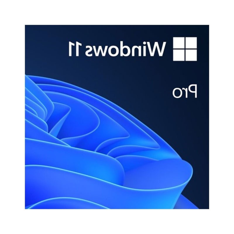 microsoft-windows-11-pro-64-bit-fpp-hav-00163