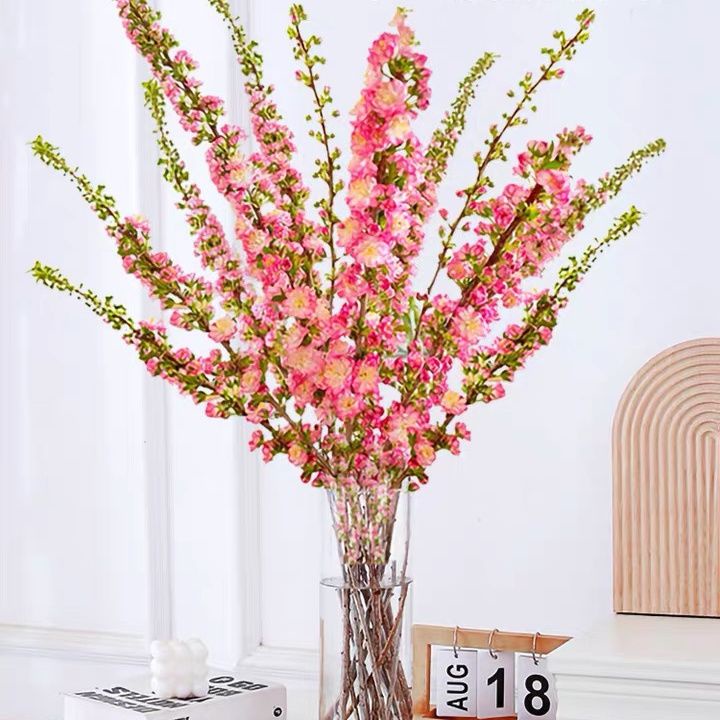 บานในน้ำ-ไข่มุก-พลัม-สุทธิ-กิ่งพีชสีแดง-ดอกซากุระ-กิ่งสด-พืชไฮโดรโปนิกส์-วัฒนธรรมน้ำในร่ม-ดอกไม้กิ่งแห้ง