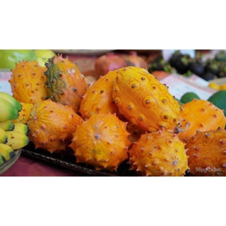 อินทรีย์็ด ใหม่็ด ใหม่ แตงกวา (Kiwano Jelly Melon Seeds/ African Horned Cucumber Seeds) ใหม่ คละ