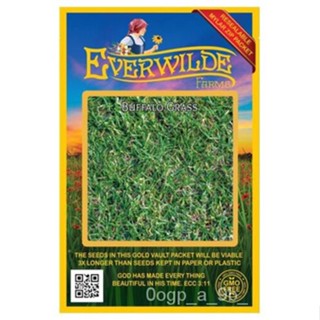 เมล็ด 1000เมล็ดผักชีควาย-ฟาร์ม Everwilde Mylar Seed Package ผักชี ผักชี