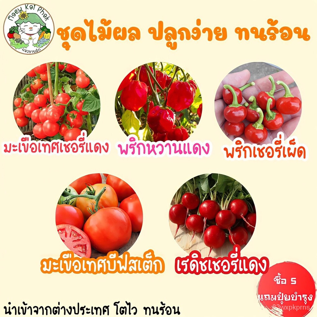 เมล็ดพันธุ์-ชุดพริก-มะเขือเทศ-ขายดี-ปลูกง่าย-โตไว-นำเข้า-พร้อมส่ง-มะเขือเทศเชอรี่แดง-พริกหวานแดง-พริกเชอรี่เผ็ด-ขายดี